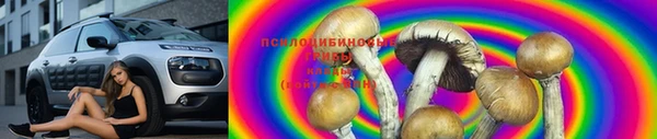 хмурый Алексеевка