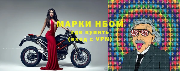 ГАЛЛЮЦИНОГЕННЫЕ ГРИБЫ Алзамай