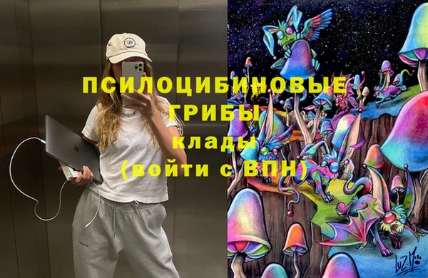 ГАЛЛЮЦИНОГЕННЫЕ ГРИБЫ Алзамай