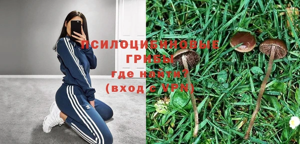 хмурый Алексеевка
