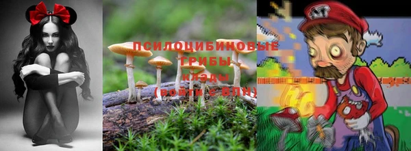 ГАЛЛЮЦИНОГЕННЫЕ ГРИБЫ Алзамай