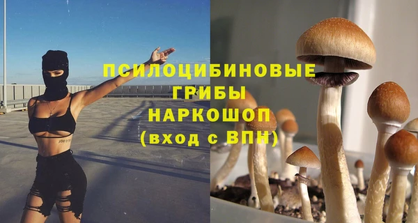 хмурый Алексеевка